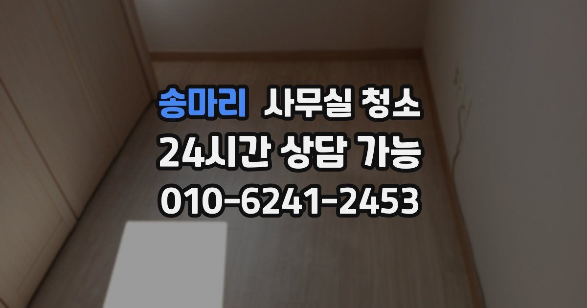 송마리 사무실 청소
