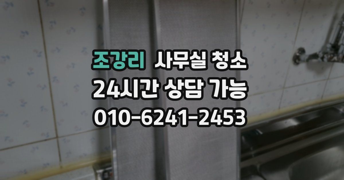 조강리 사무실 청소