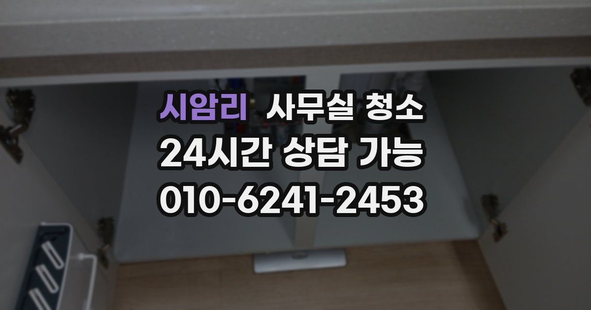 시암리 사무실 청소