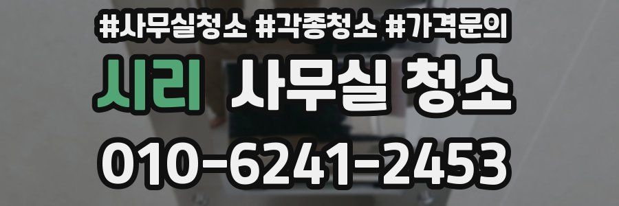 시리 사무실 청소