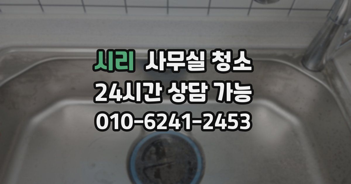 시리 사무실 청소