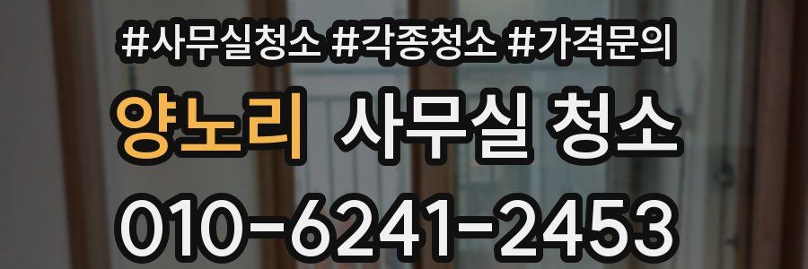 양노리 사무실 청소