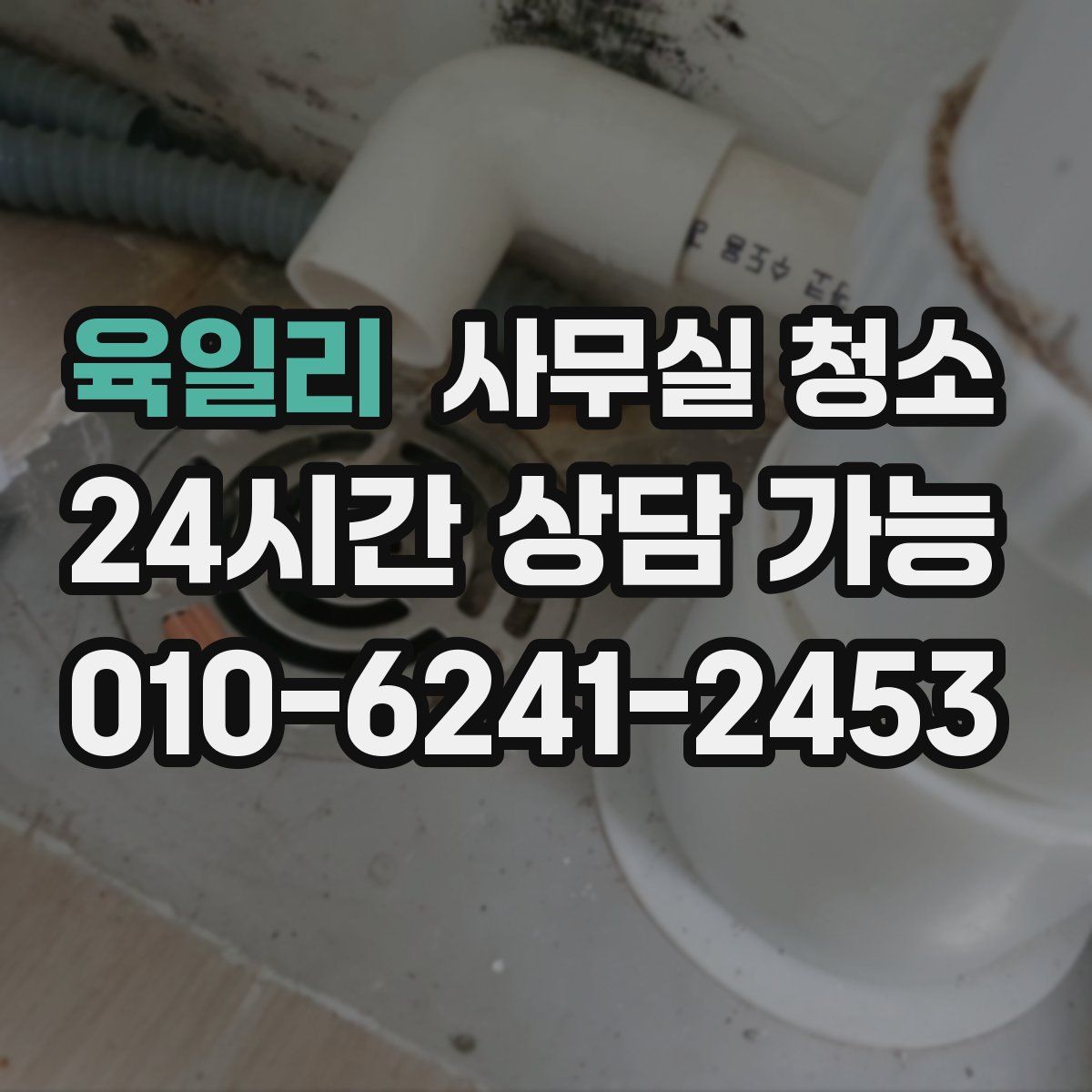 육일리 사무실 청소