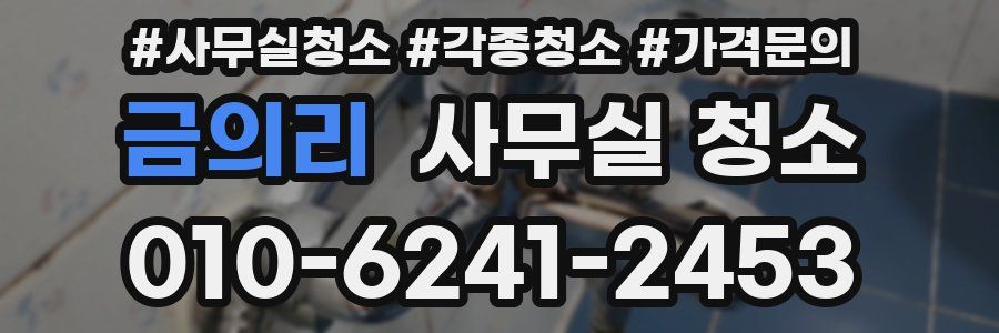 금의리 사무실 청소