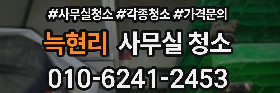 늑현리 사무실 청소