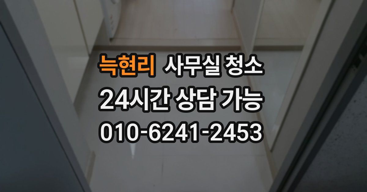 늑현리 사무실 청소