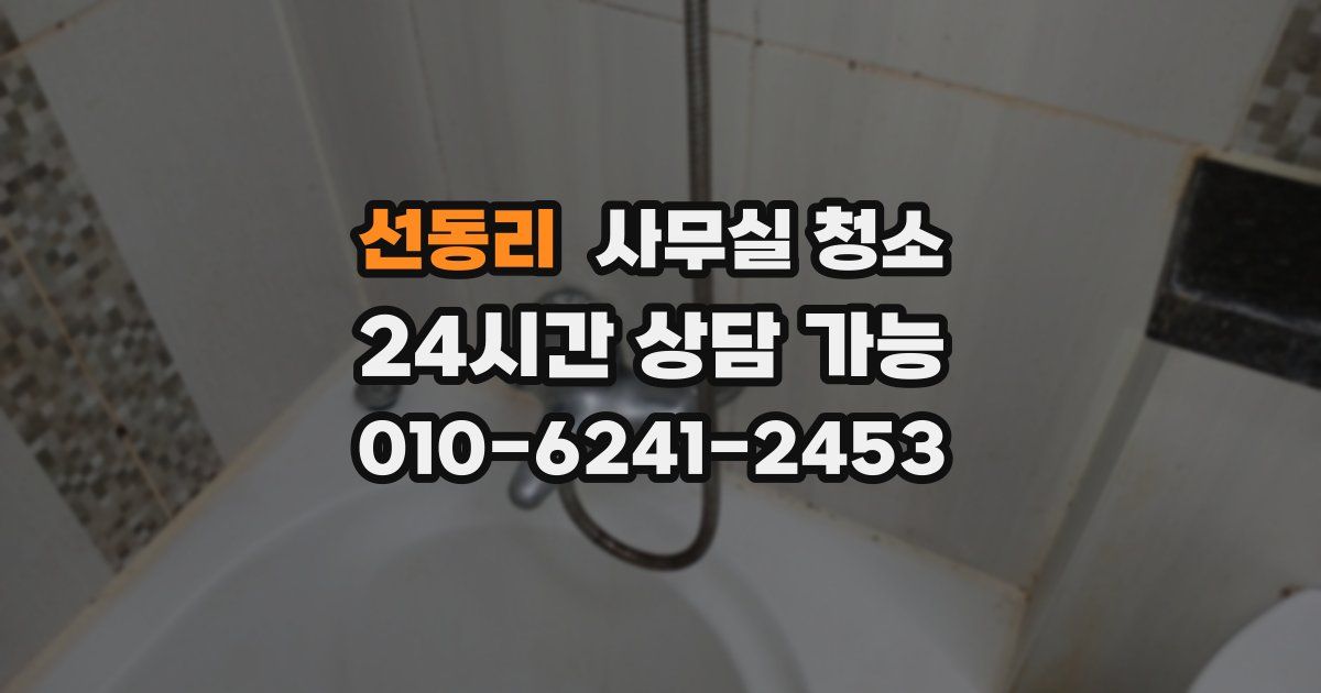 선동리 사무실 청소
