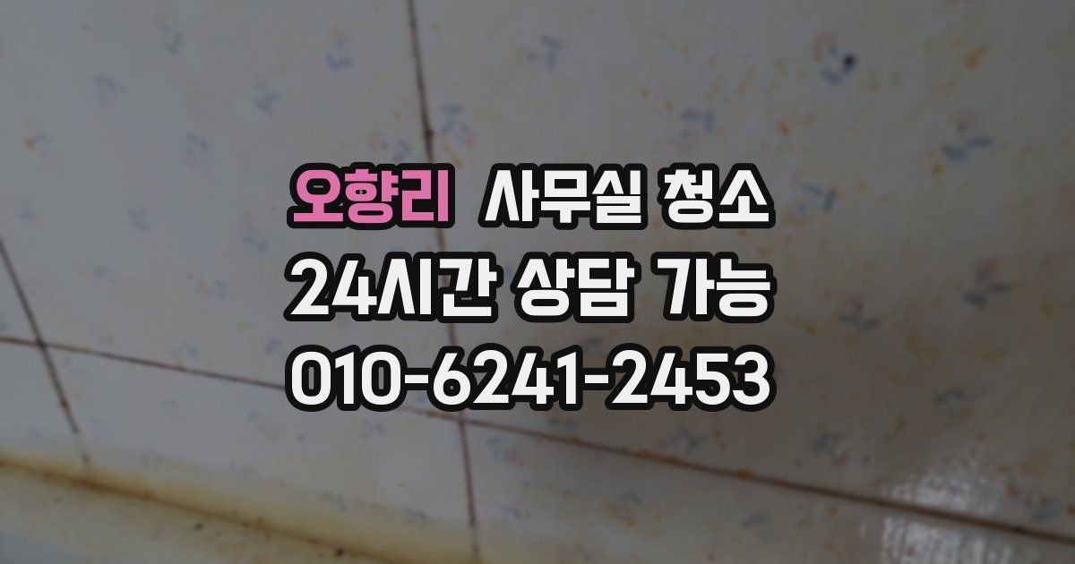 오향리 사무실 청소