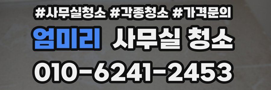 엄미리 사무실 청소