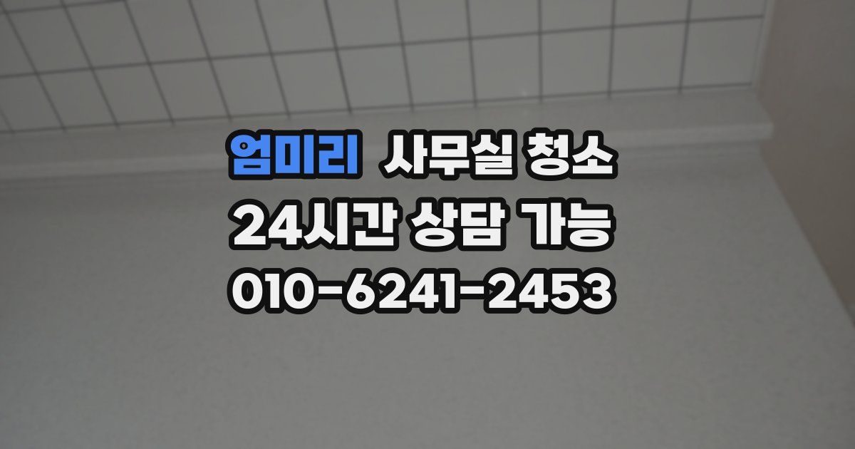 엄미리 사무실 청소