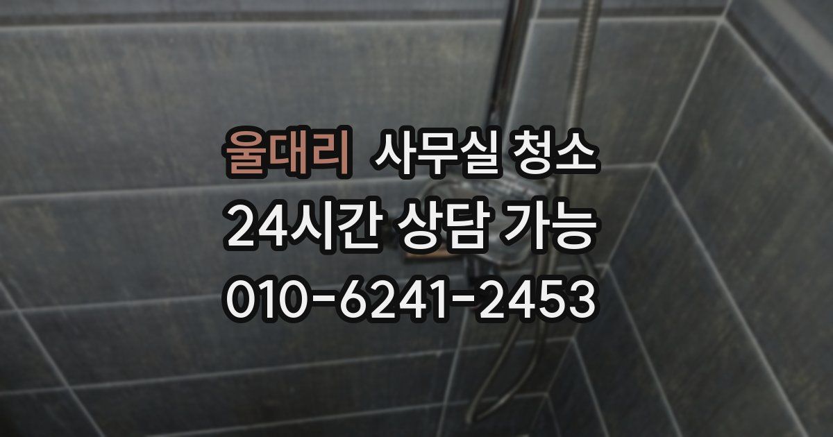 울대리 사무실 청소