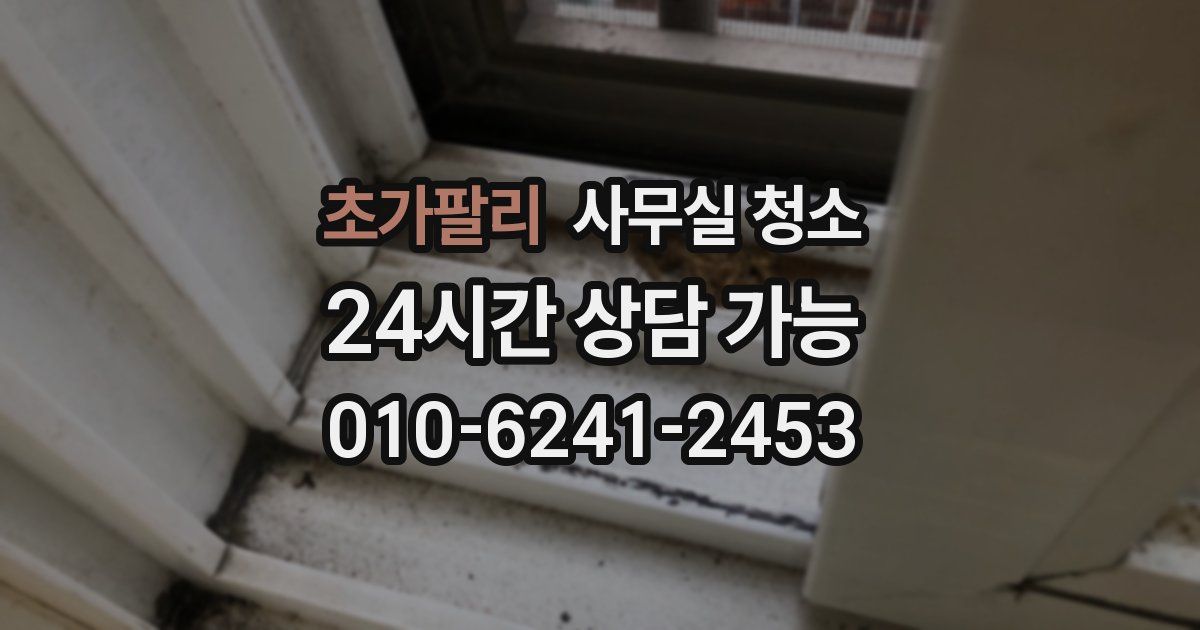 초가팔리 사무실 청소