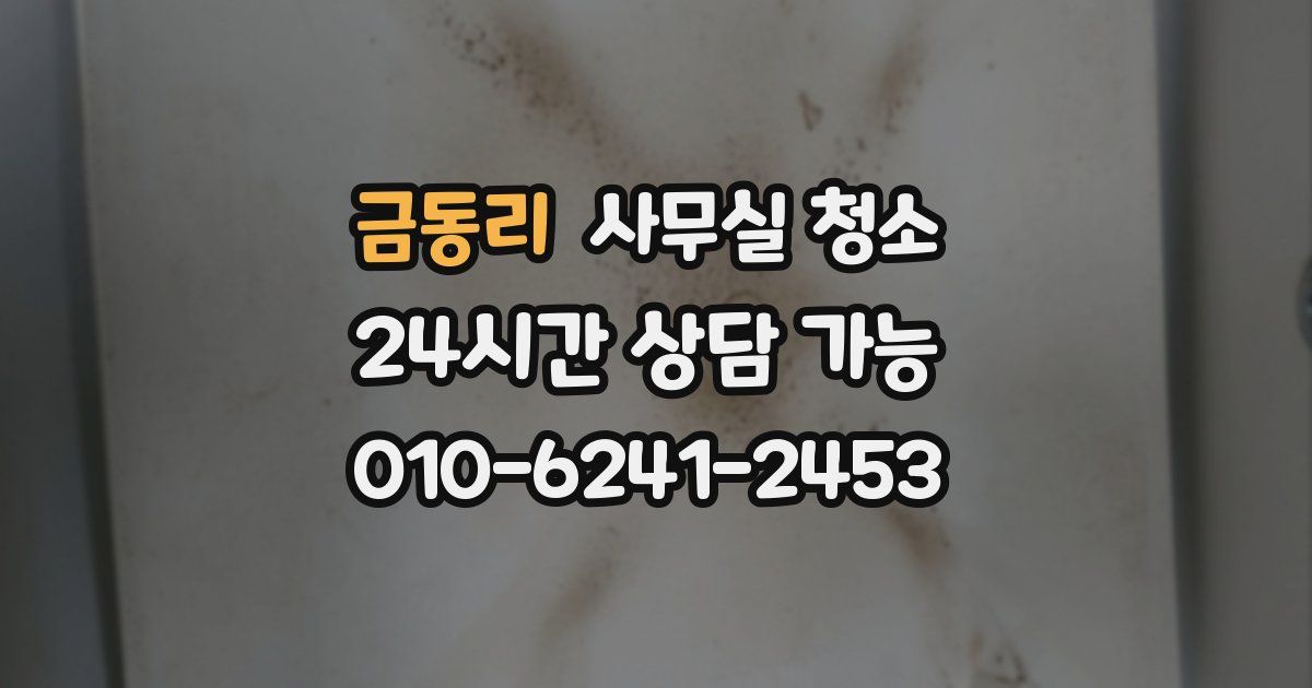금동리 사무실 청소