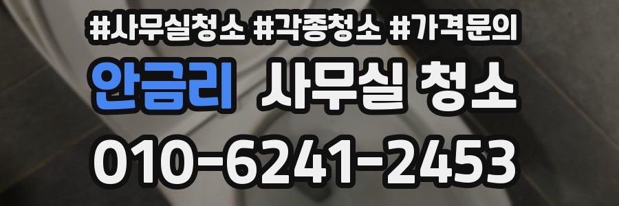 안금리 사무실 청소
