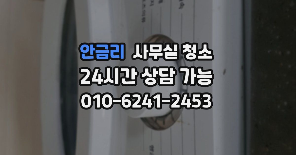 안금리 사무실 청소