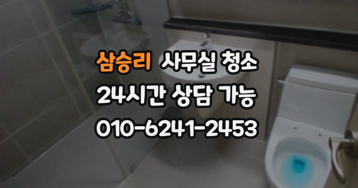 삼승리 사무실 청소