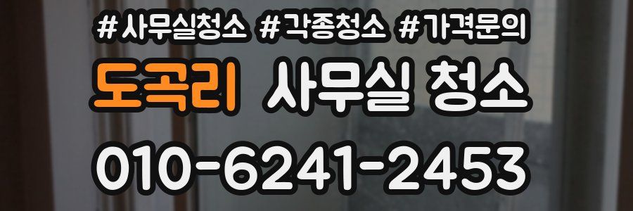 도곡리 사무실 청소