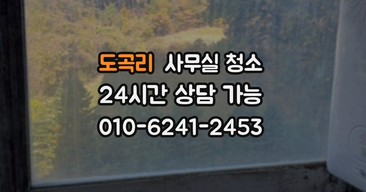 도곡리 사무실 청소