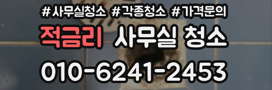 적금리 사무실 청소