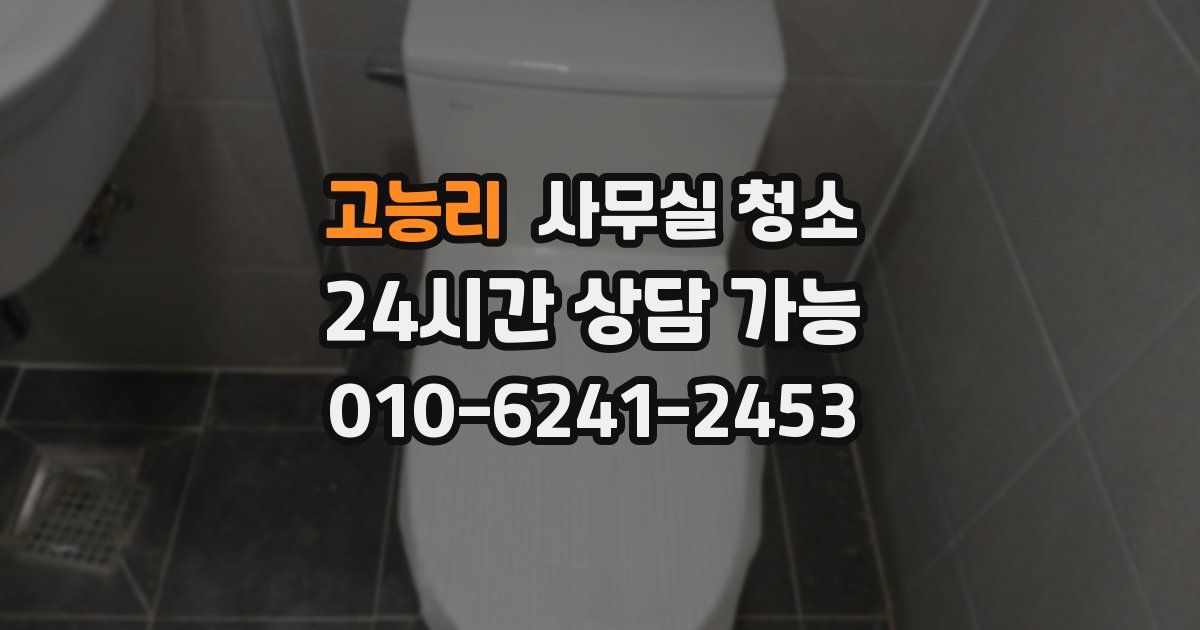고능리 사무실 청소