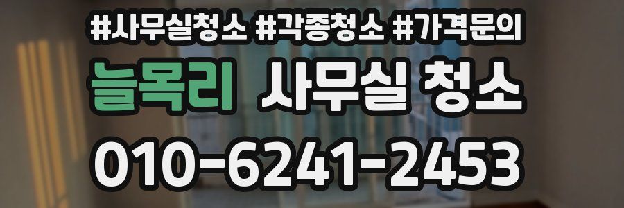 늘목리 사무실 청소