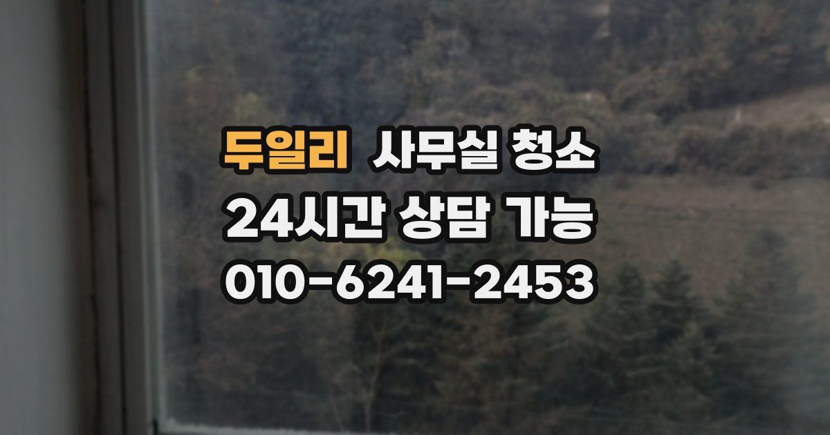 두일리 사무실 청소
