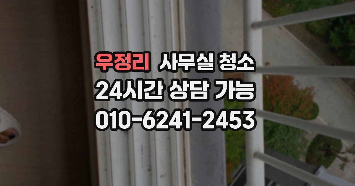 우정리 사무실 청소