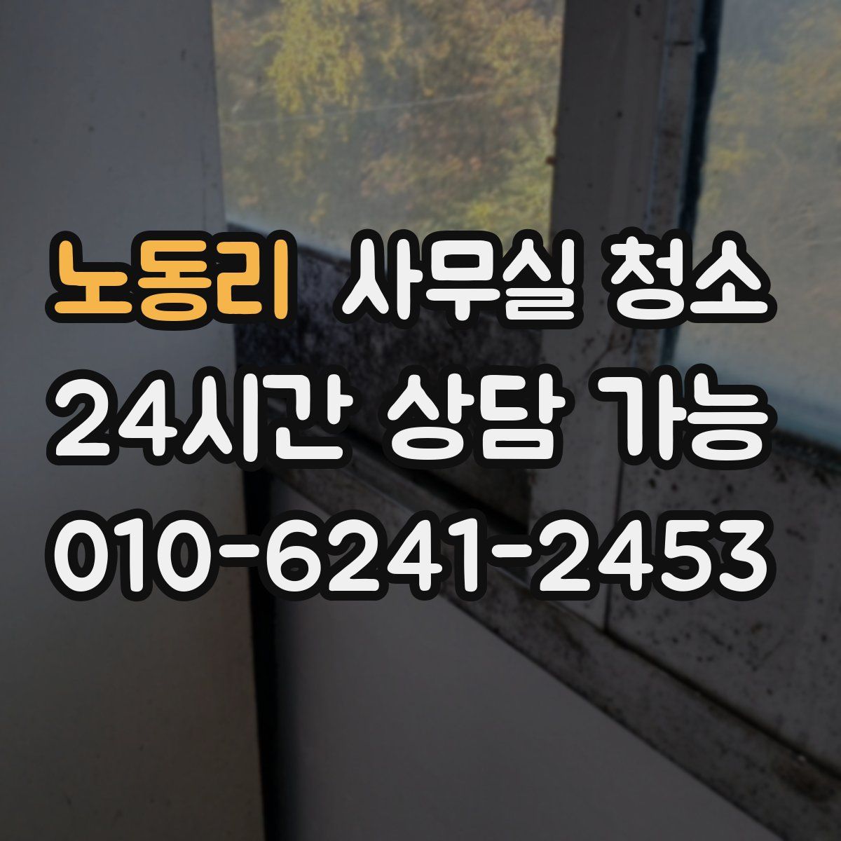 노동리 사무실 청소