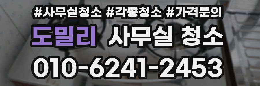도밀리 사무실 청소