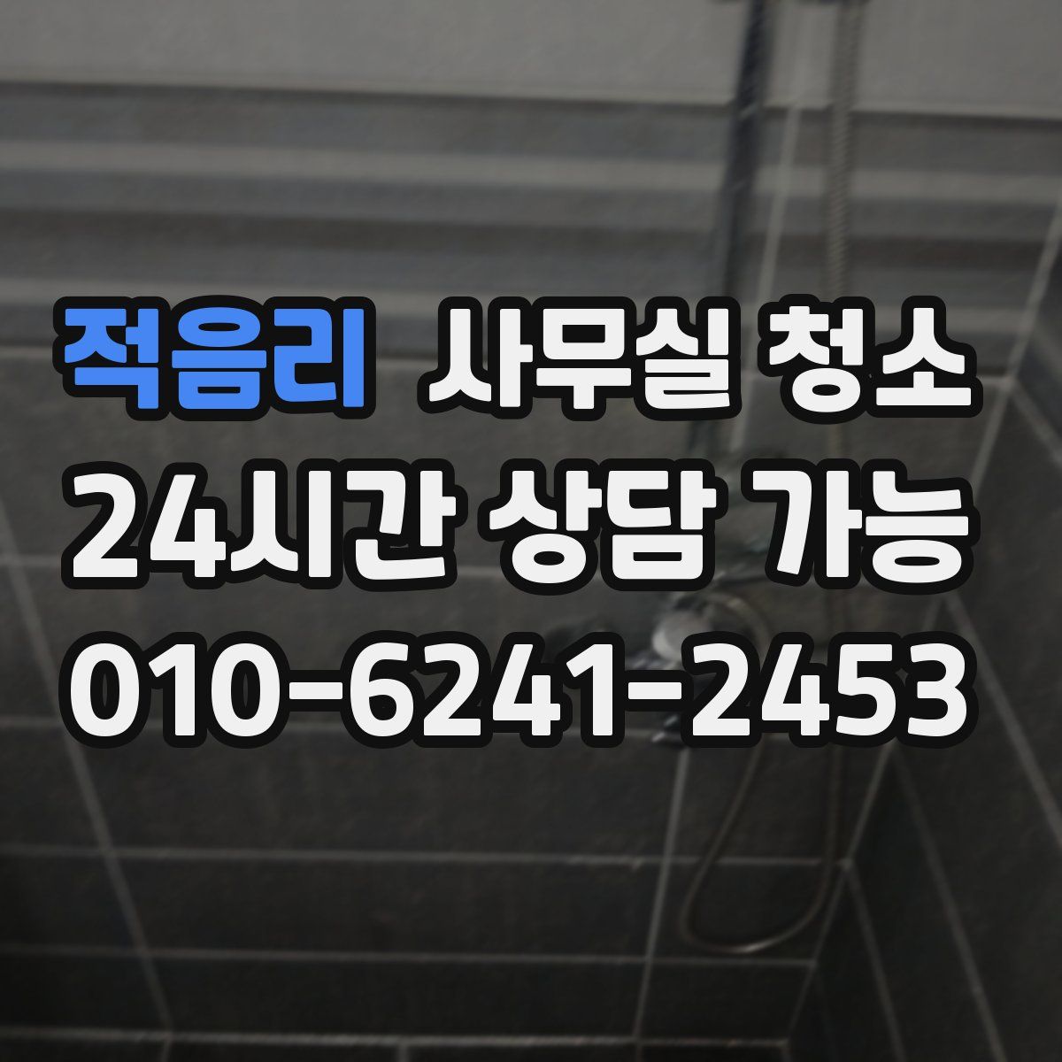 적음리 사무실 청소