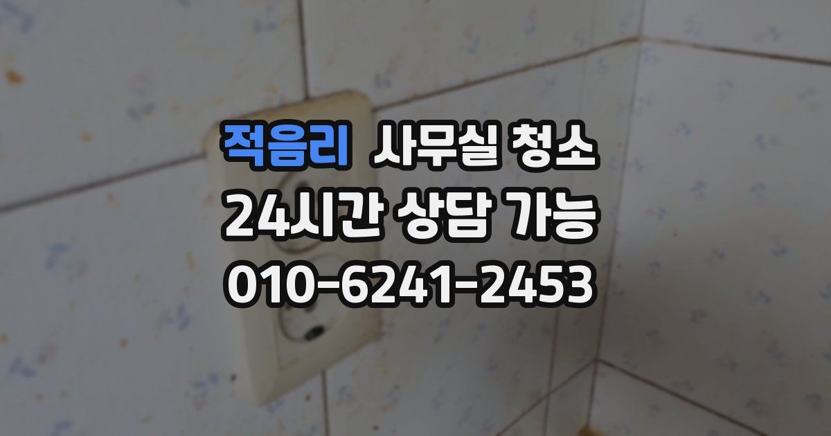 적음리 사무실 청소