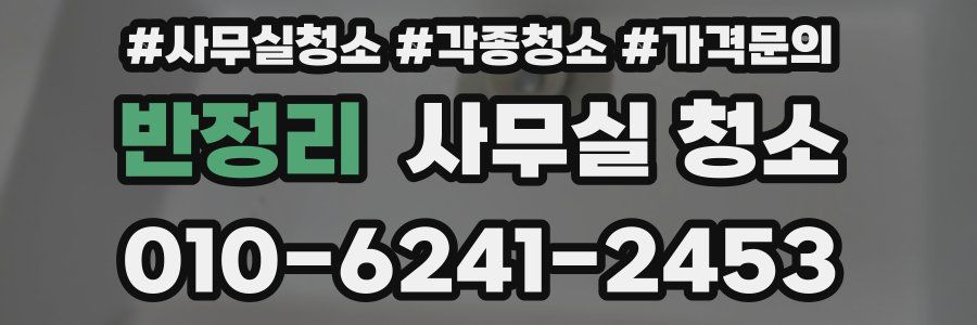 반정리 사무실 청소
