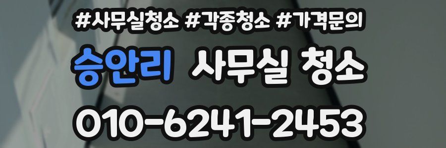 승안리 사무실 청소