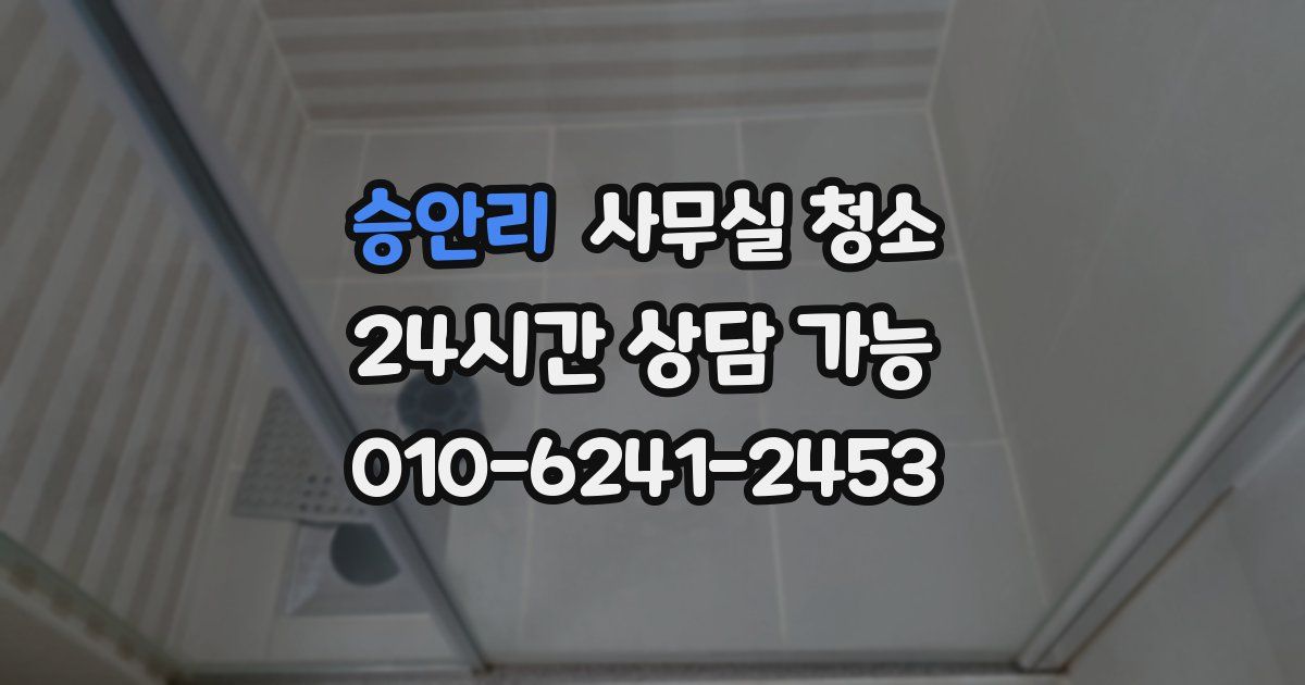 승안리 사무실 청소