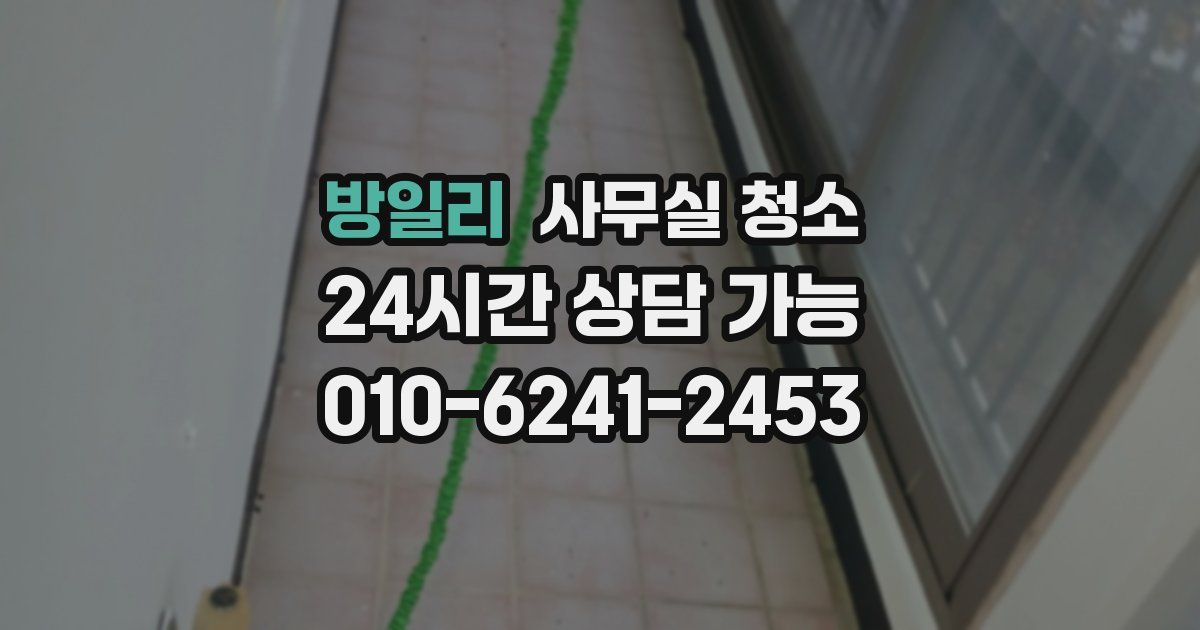 방일리 사무실 청소