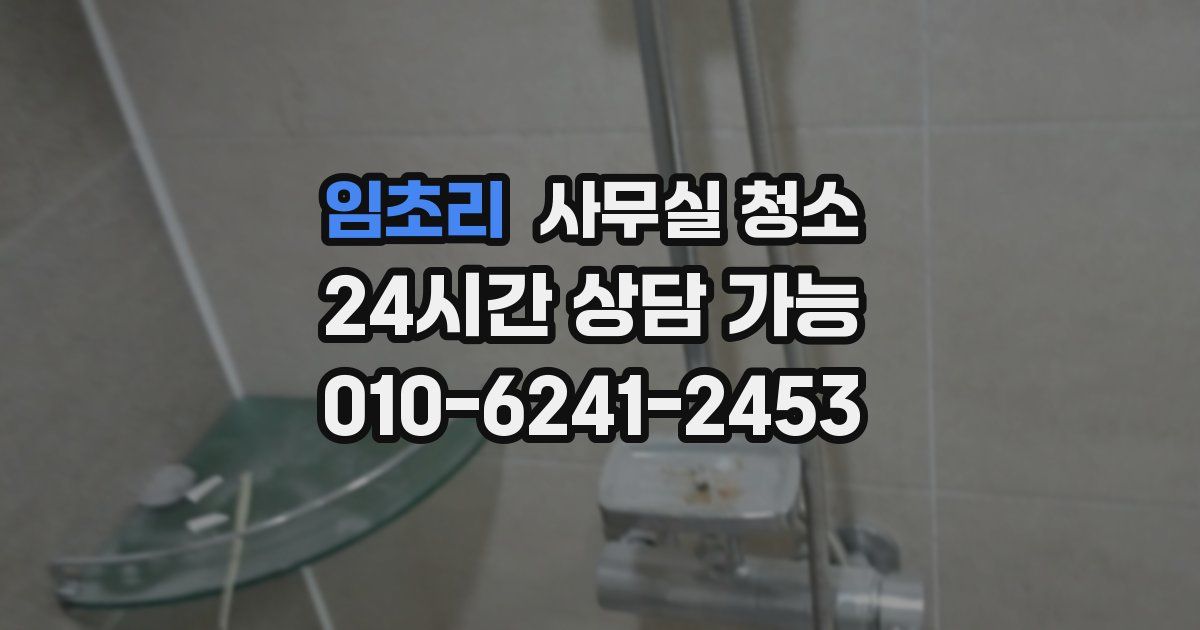 임초리 사무실 청소