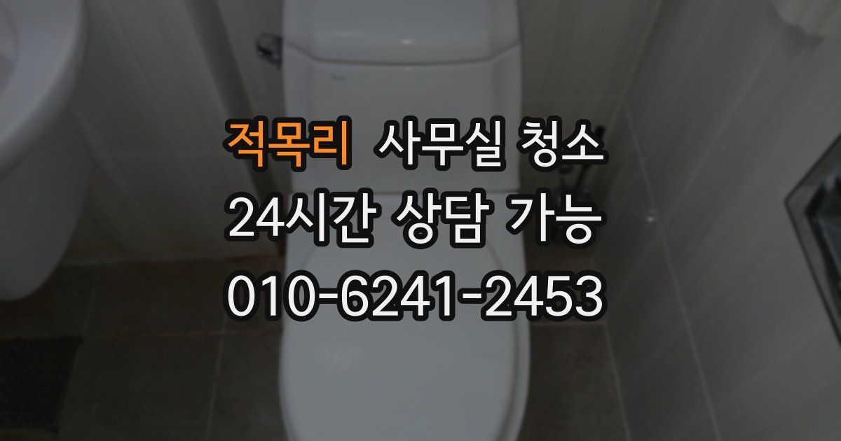 적목리 사무실 청소