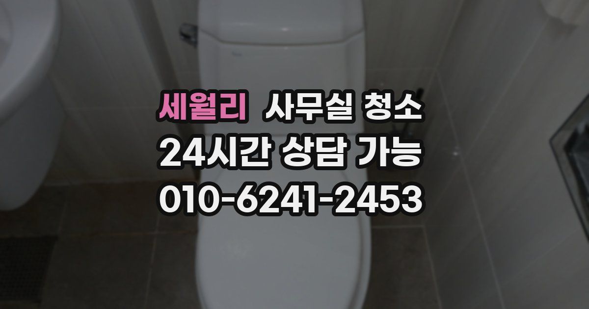 세월리 사무실 청소