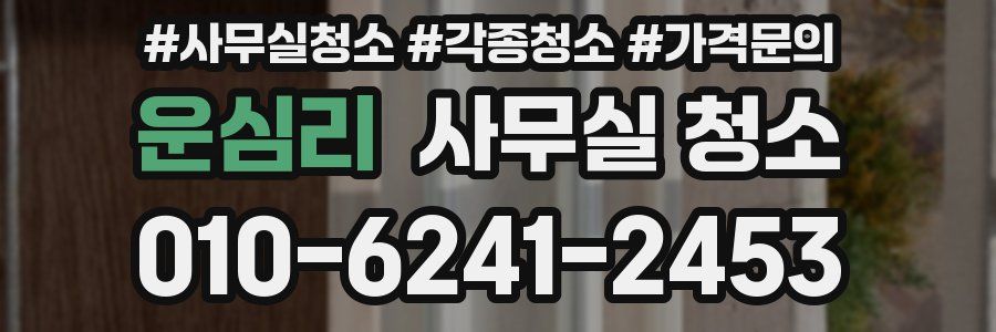 운심리 사무실 청소