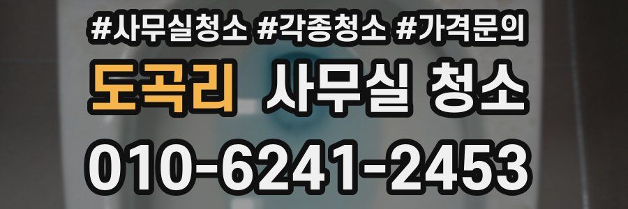 도곡리 사무실 청소