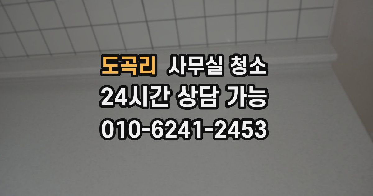 도곡리 사무실 청소