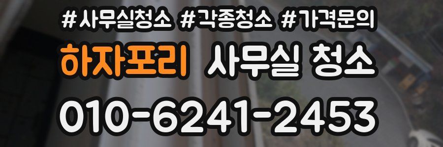 하자포리 사무실 청소