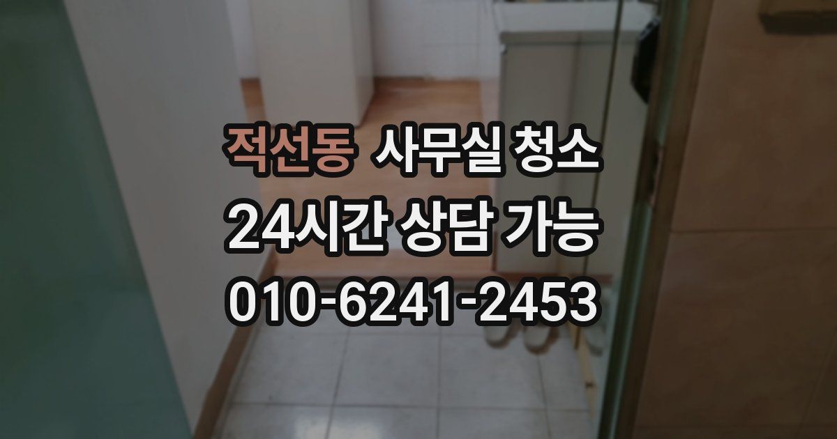적선동 사무실 청소