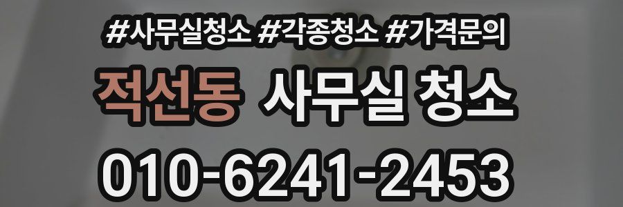 적선동 사무실 청소