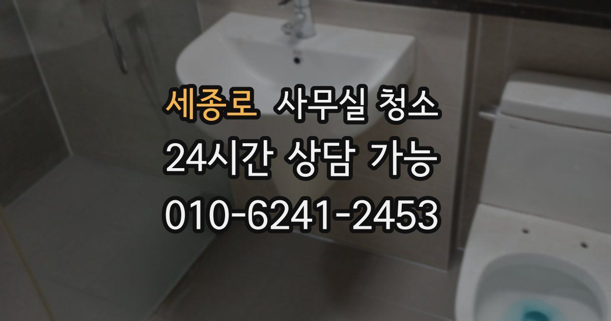 세종로 사무실 청소