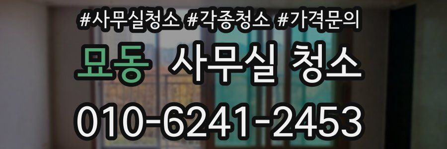 묘동 사무실 청소