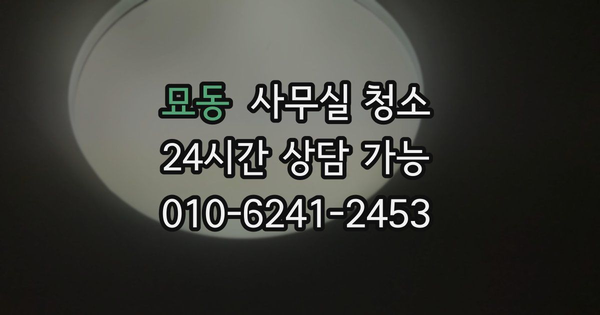 묘동 사무실 청소