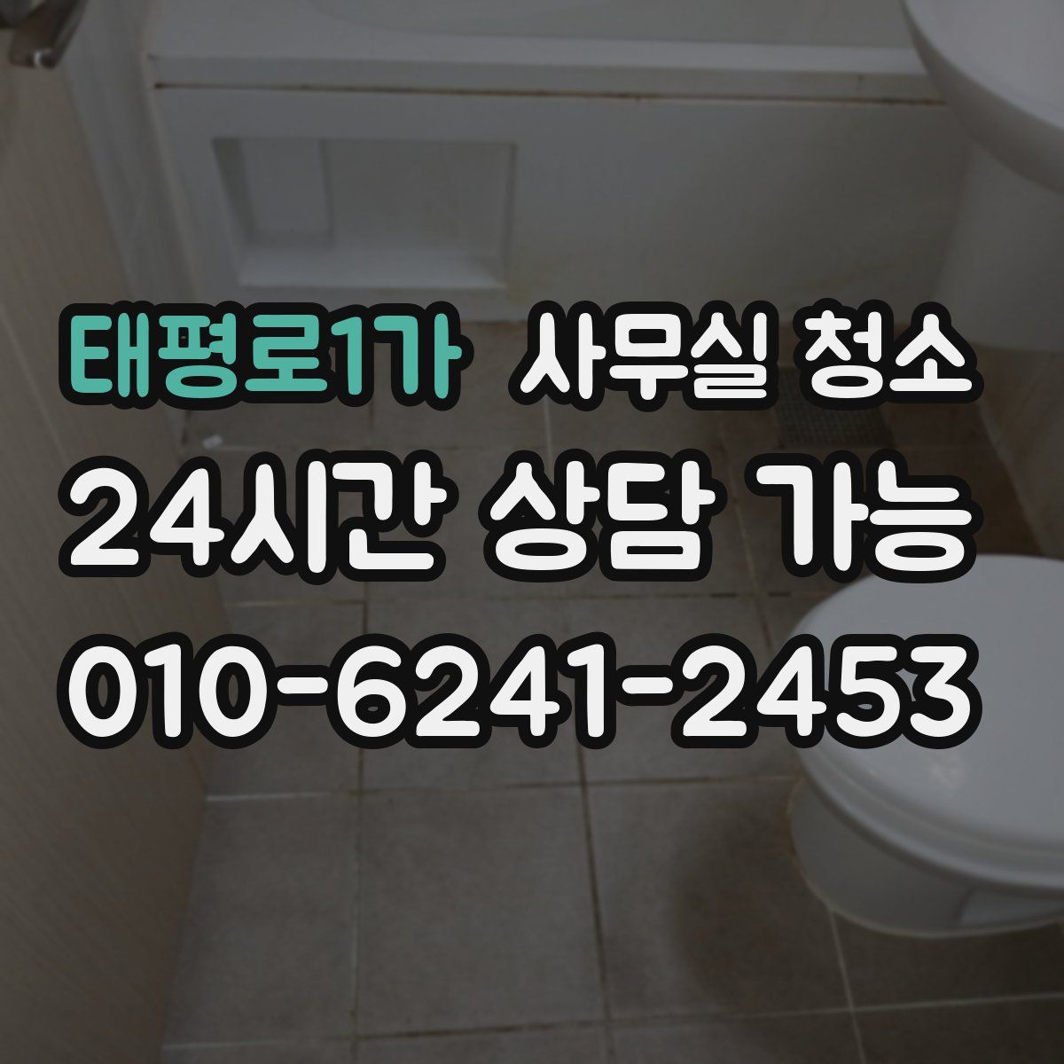 태평로1가 사무실 청소
