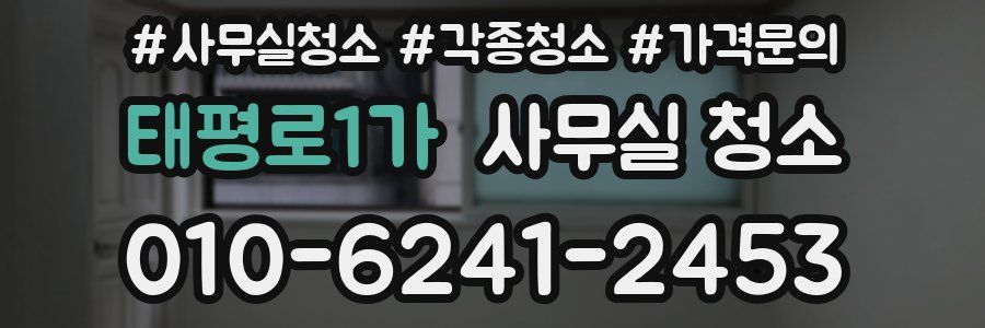 태평로1가 사무실 청소