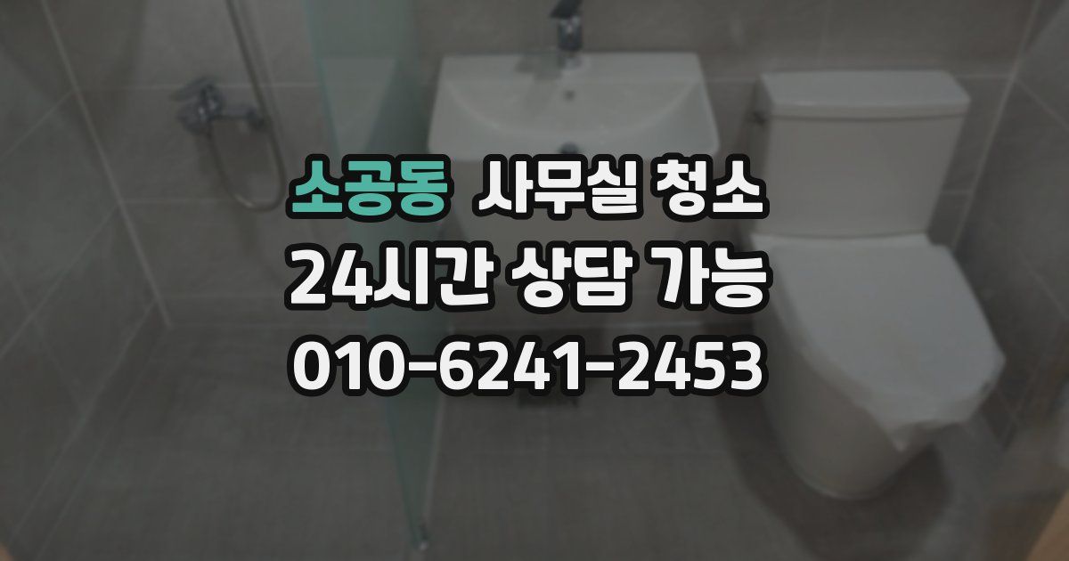 소공동 사무실 청소